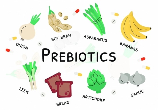 prebiotics φωτογραφία