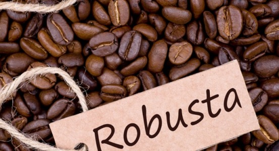 φωτογραφία για robusta robusta φωτογραφία